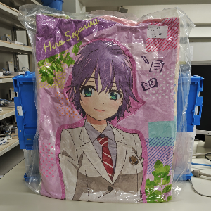せがわひな