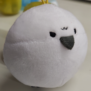 マツエナガ　おこ